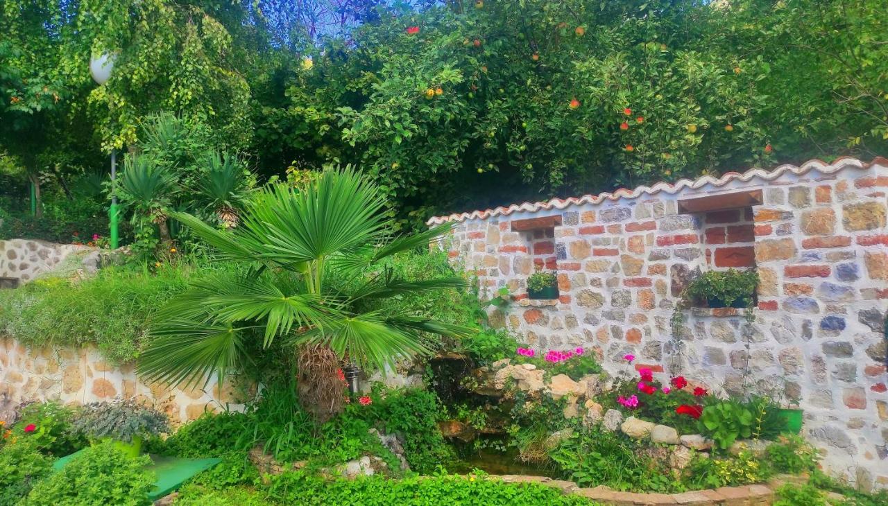 Villa Forest Paradise Οχρίδα Εξωτερικό φωτογραφία