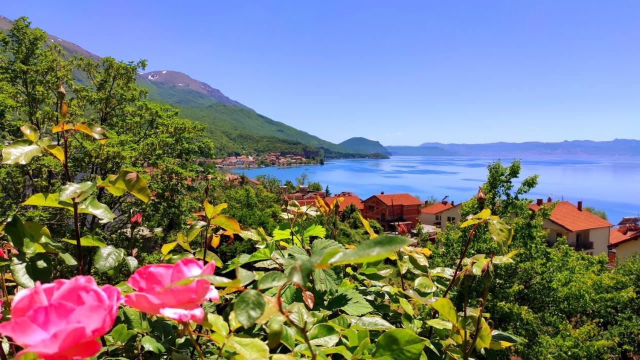 Villa Forest Paradise Οχρίδα Εξωτερικό φωτογραφία