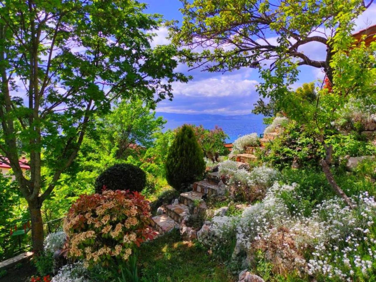 Villa Forest Paradise Οχρίδα Εξωτερικό φωτογραφία
