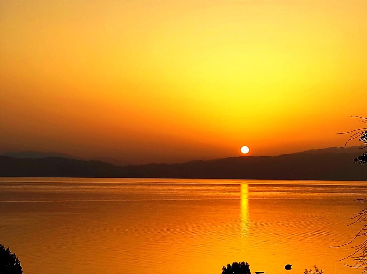 Villa Forest Paradise Οχρίδα Εξωτερικό φωτογραφία