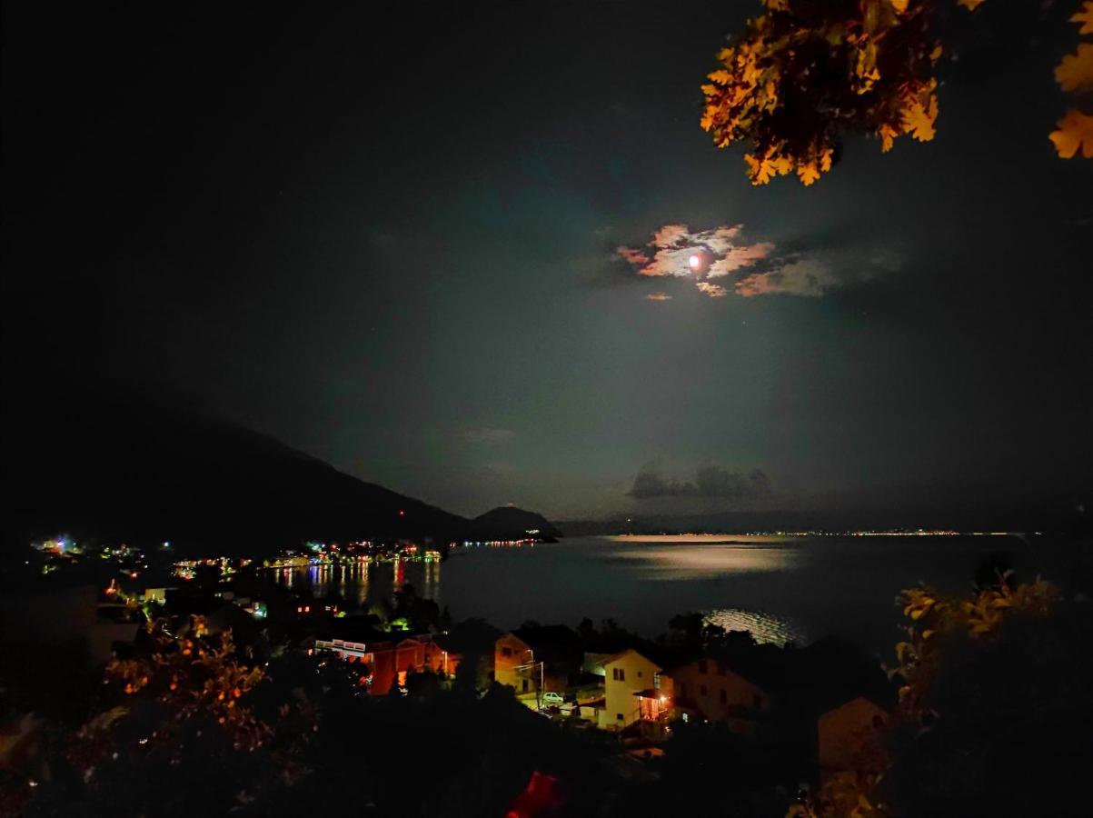 Villa Forest Paradise Οχρίδα Εξωτερικό φωτογραφία