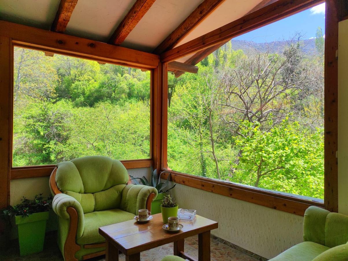 Villa Forest Paradise Οχρίδα Εξωτερικό φωτογραφία