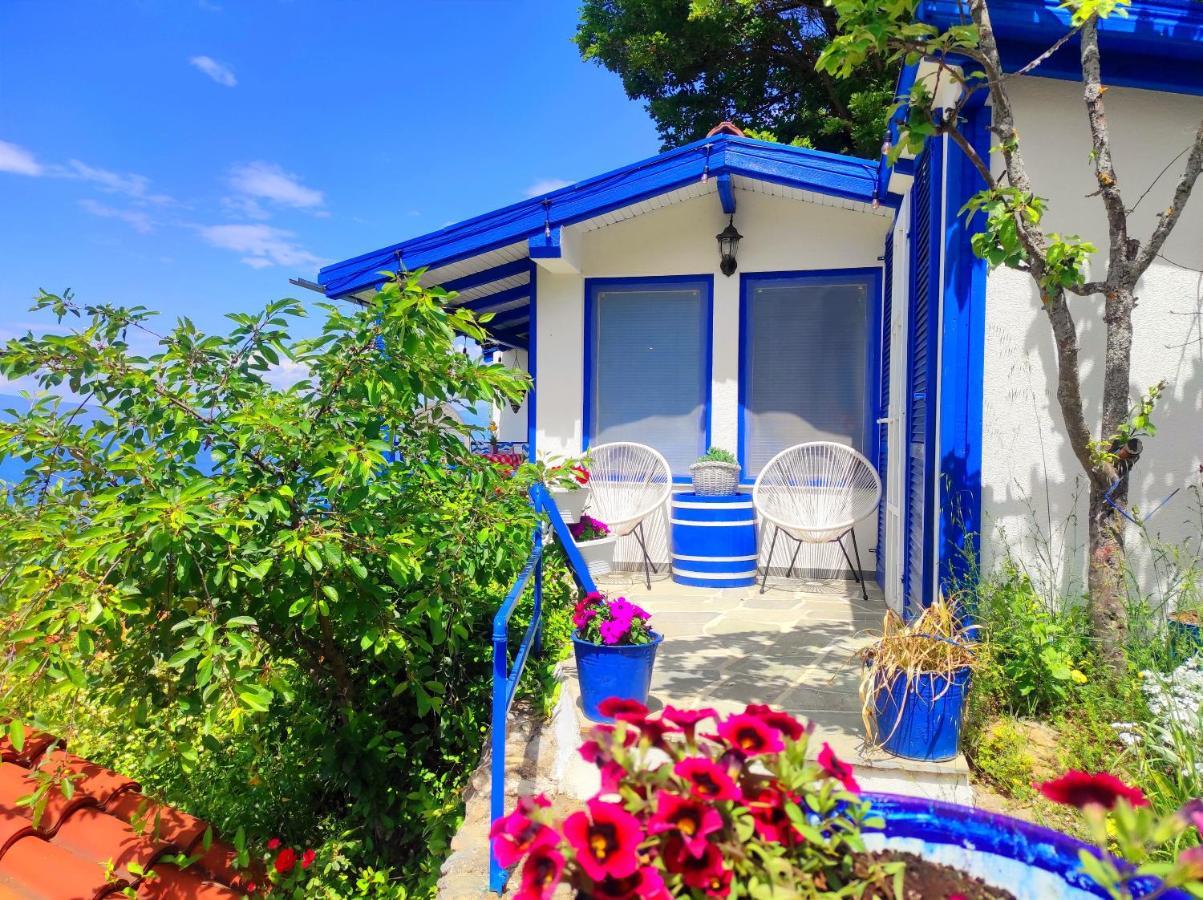 Villa Forest Paradise Οχρίδα Εξωτερικό φωτογραφία