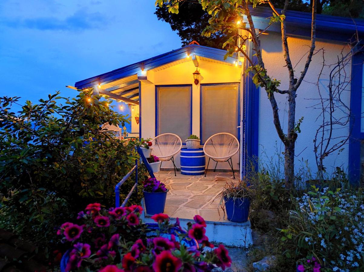 Villa Forest Paradise Οχρίδα Εξωτερικό φωτογραφία