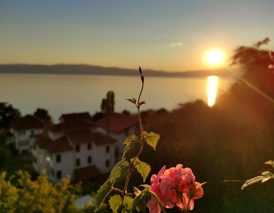 Villa Forest Paradise Οχρίδα Εξωτερικό φωτογραφία