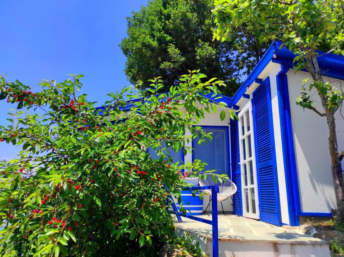 Villa Forest Paradise Οχρίδα Εξωτερικό φωτογραφία