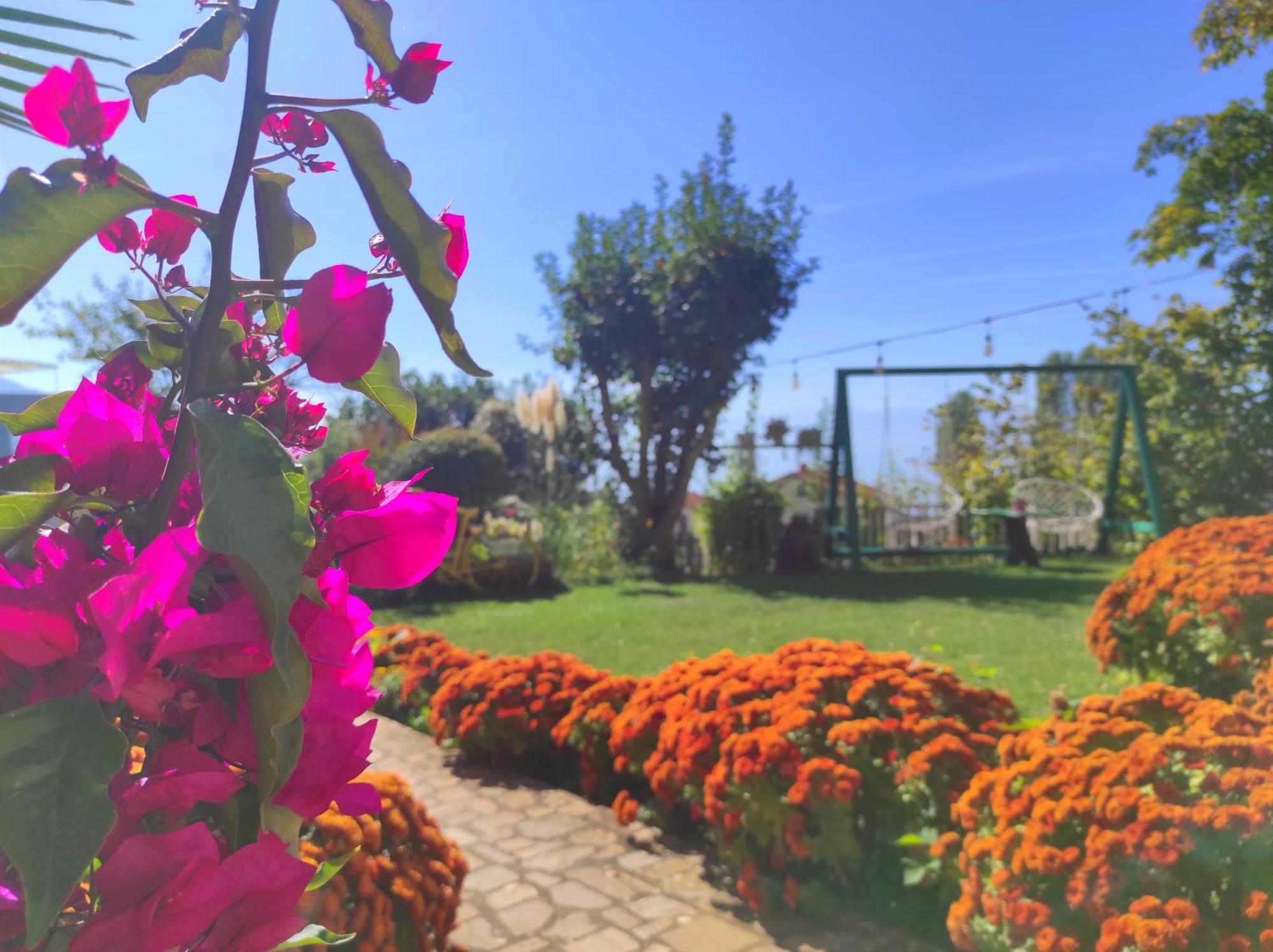 Villa Forest Paradise Οχρίδα Εξωτερικό φωτογραφία