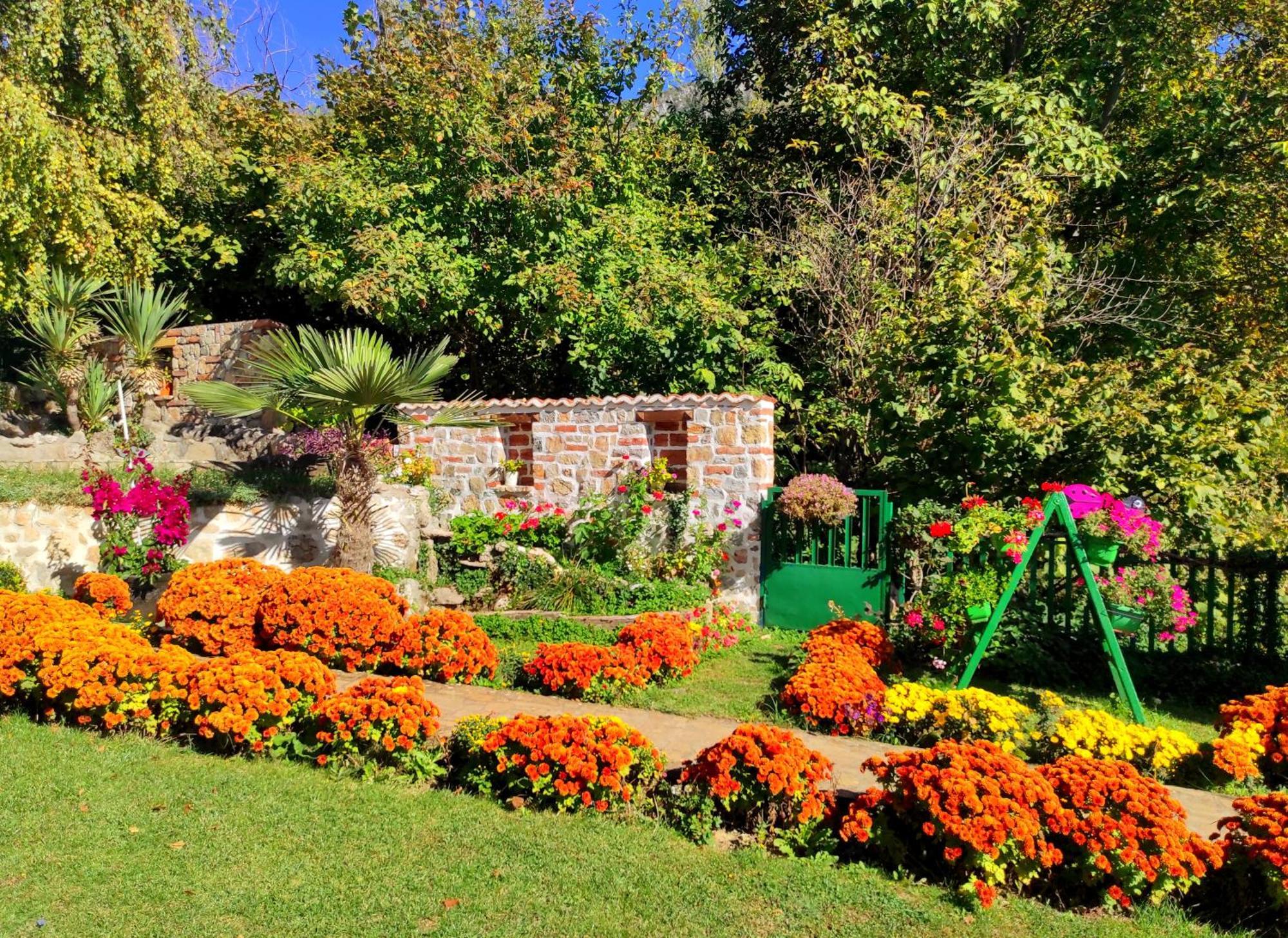 Villa Forest Paradise Οχρίδα Εξωτερικό φωτογραφία