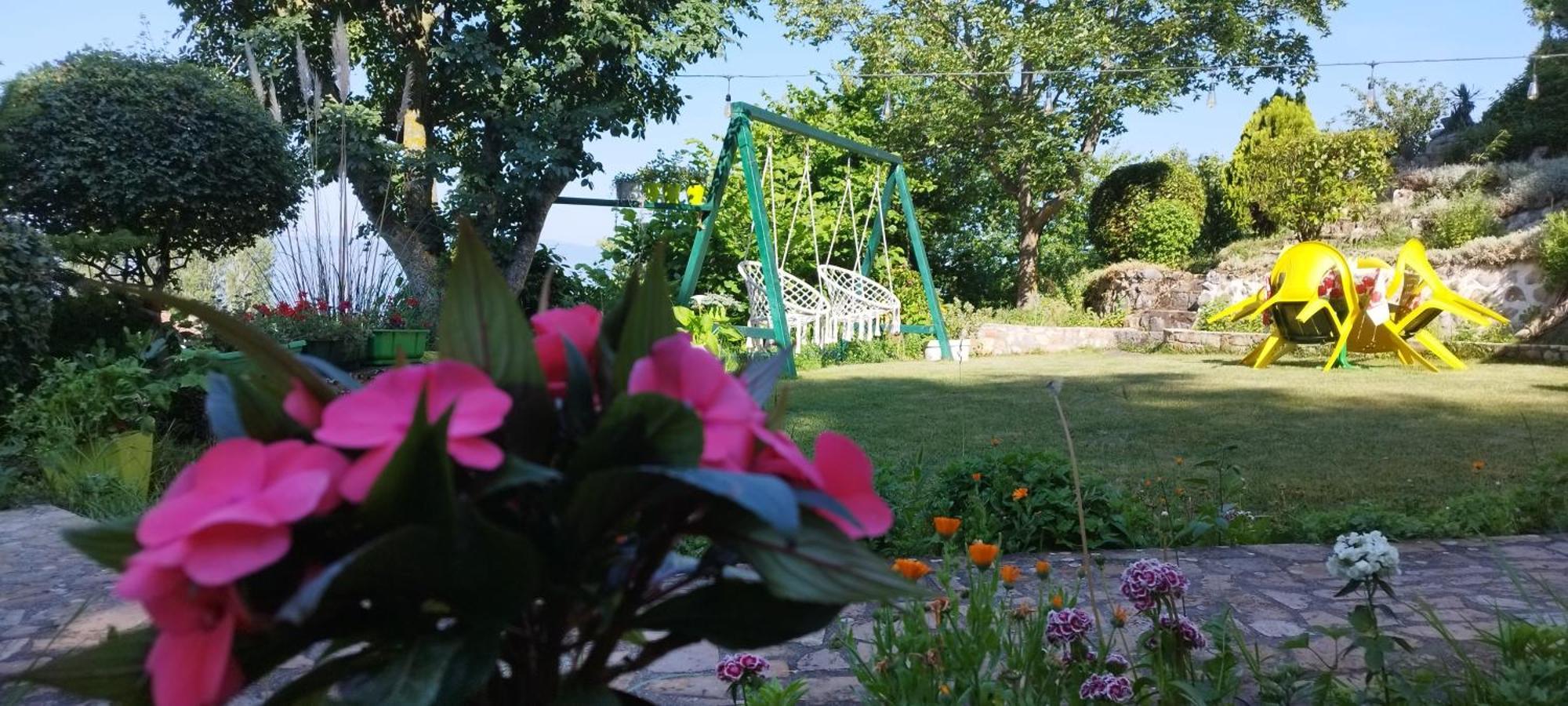 Villa Forest Paradise Οχρίδα Εξωτερικό φωτογραφία