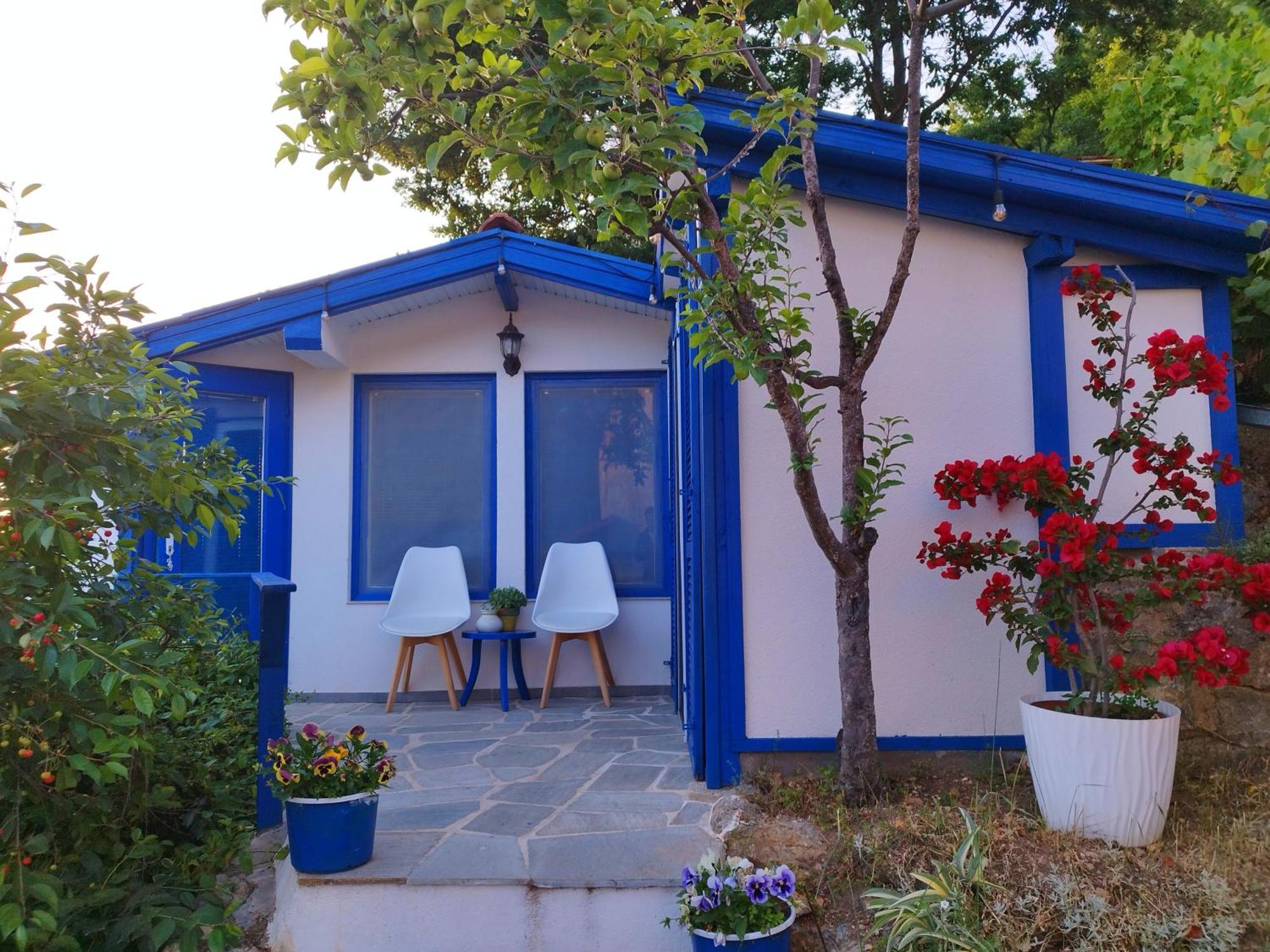 Villa Forest Paradise Οχρίδα Εξωτερικό φωτογραφία